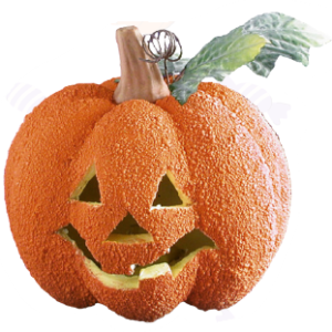 ZUCCA RUGOSA CM.18 C/LUCE