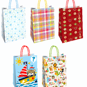 SHOPPER EVERYDAY 1  23X10X29 CF.25