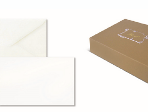 BIGLIETTO VISITA   F4 100/100